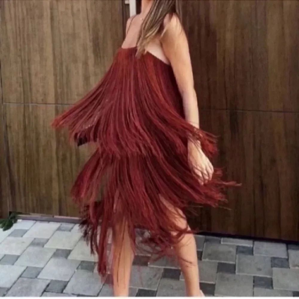 Zara Brown/Plum Sleeveless Fringe Midi
Dress (Size Small)
